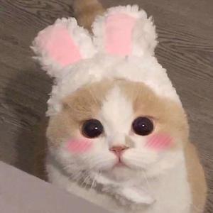 美国女生裸体视频
